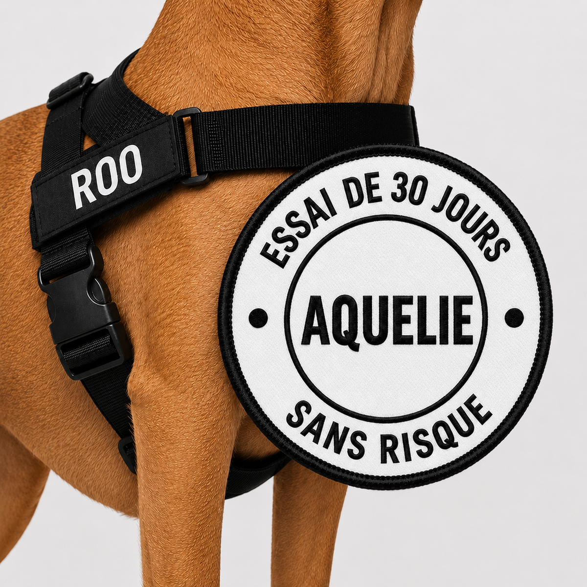 Harnais anti-traction Aquelie