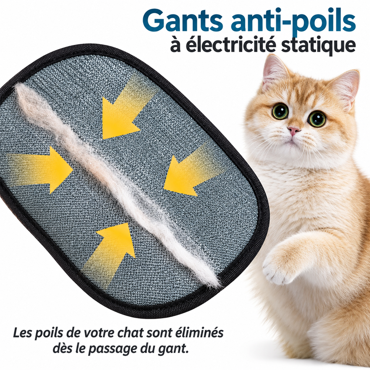 Gant Anti-Poils Aquelie