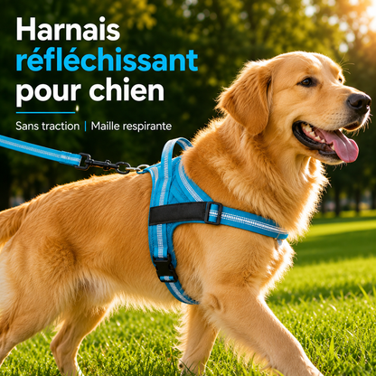 Harnais anti-traction Aquelie